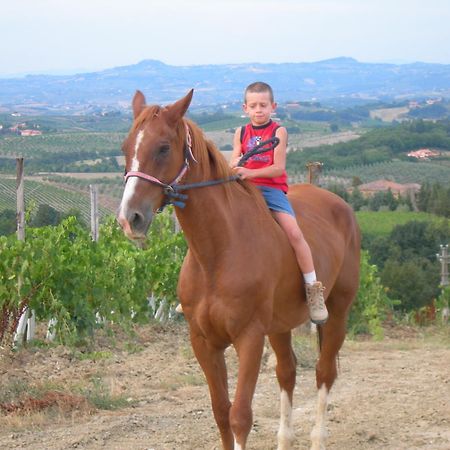 Agriturismo Podere La Marronaia 산지미냐노 외부 사진