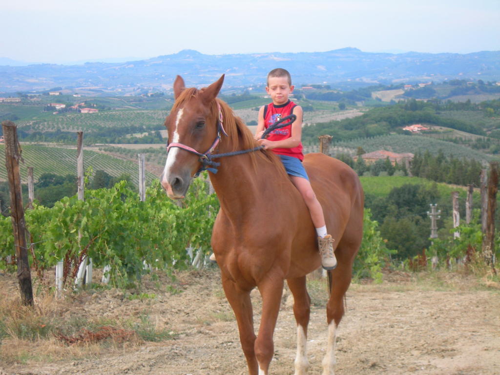Agriturismo Podere La Marronaia 산지미냐노 외부 사진