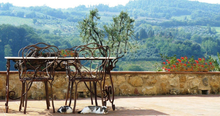 Agriturismo Podere La Marronaia 산지미냐노 외부 사진