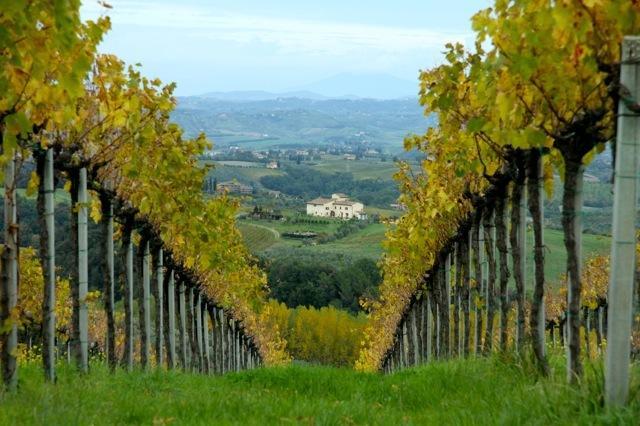 Agriturismo Podere La Marronaia 산지미냐노 외부 사진