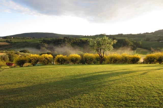 Agriturismo Podere La Marronaia 산지미냐노 외부 사진